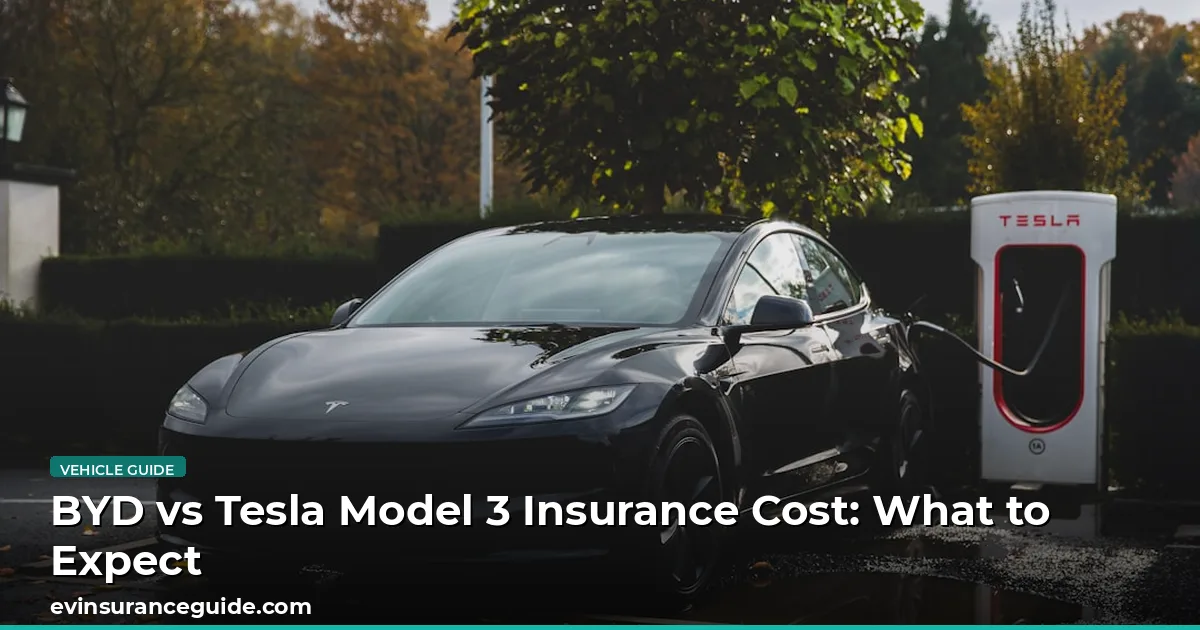 BYD vs Tesla Model 3 Insurance Cost: What to Expect