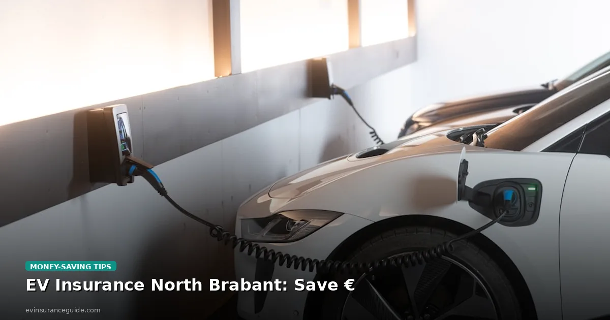 EV Insurance North Brabant: Save €