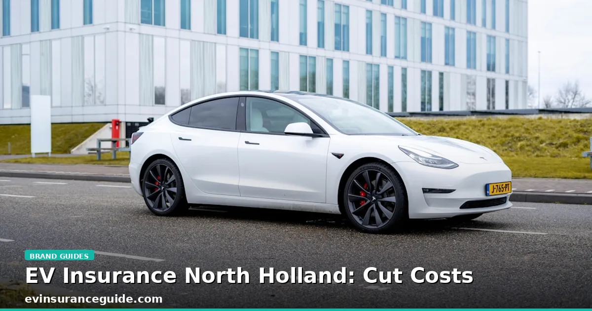 EV Insurance North Holland: Cut Costs