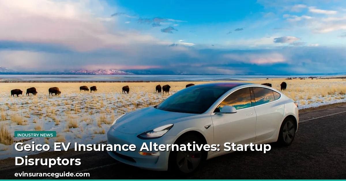 Geico EV Insurance Alternatives: Startup Disruptors