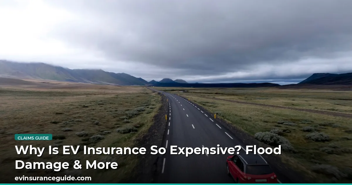 Why Is EV Insurance So Expensive? Flood Damage & More